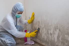 Best Asbestos and Lead Testing During Mold Inspection  in Franklin, TX